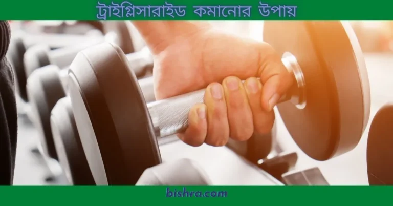 ট্রাইগ্লিসারাইড কেন বাড়ে