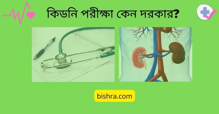 কিডনি পরীক্ষা কিভাবে করে